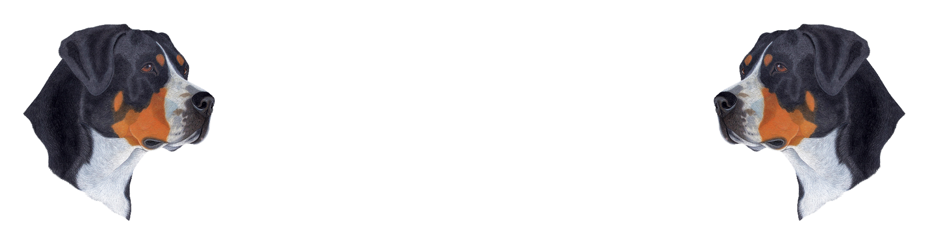 yourdoggy