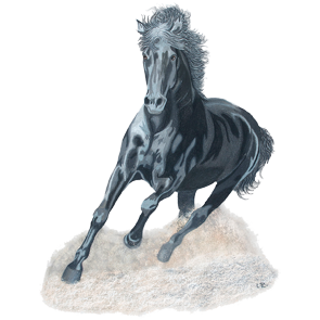 Yourhorse