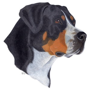Yourdoggy